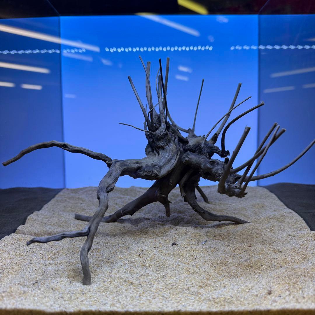 MDW-7249 ブランチウッド(ブラック)3本セット 枝流木 アクアリウム