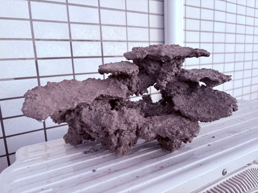 人工ライブロック 人工ライブロック No.39. 無害化処理済 人工ライブ