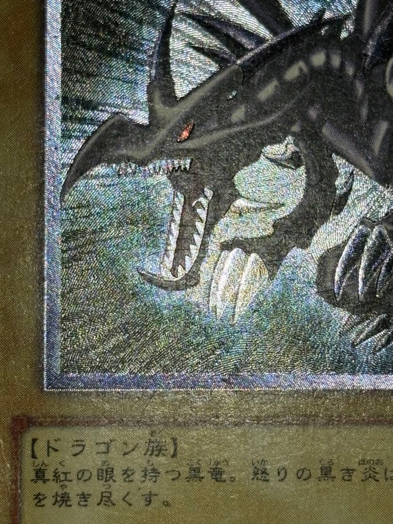 真紅眼の黒竜 レリーフ 親知らず 歴戦 301-056