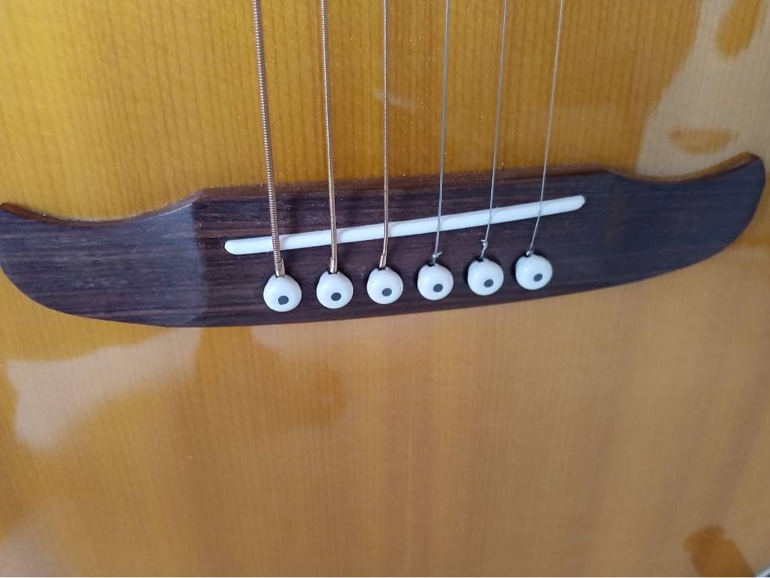 Fender Catalina 花子アコースティックギター(ハードケース付き