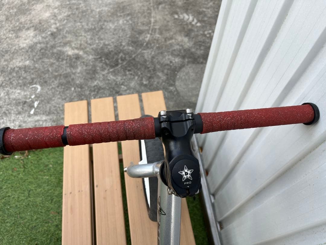 ストライダープロ