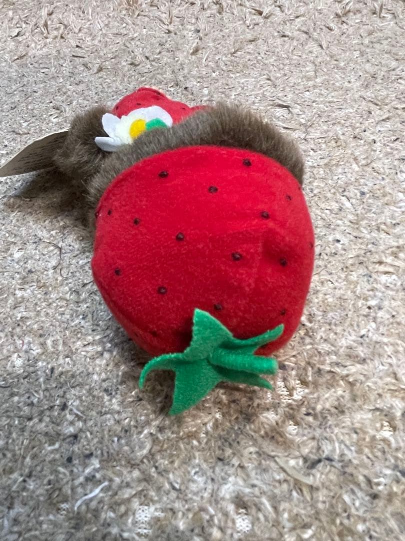 モンチッチ レア フルーツデザイン4体セット