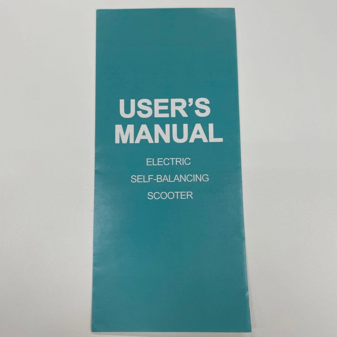 セルフ バランススクーター　ミニセグウェイ 立ち乗り二輪　ブラック 充電器付き