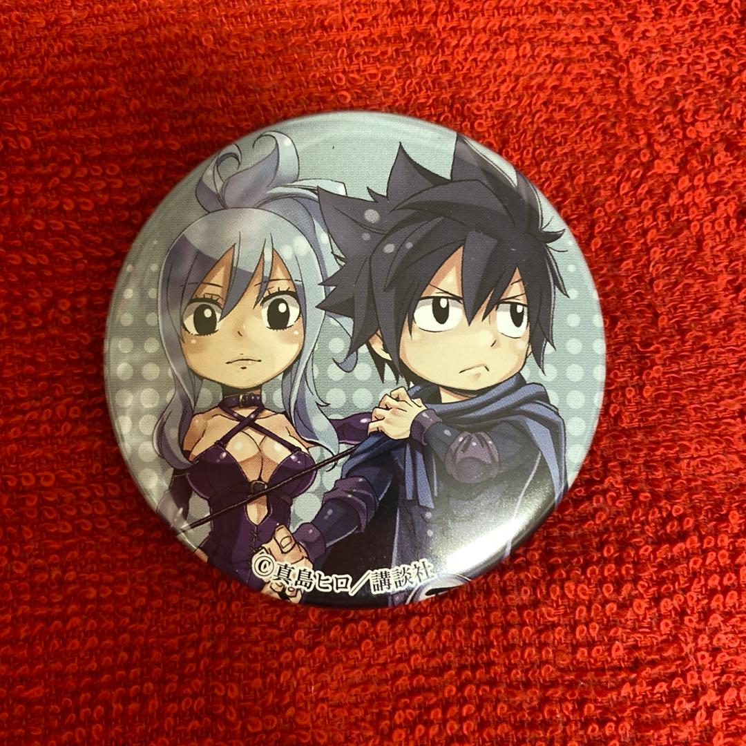 フェアリーテイル ガチャトク 缶バッジ エルザ ジェラール ② Amazon