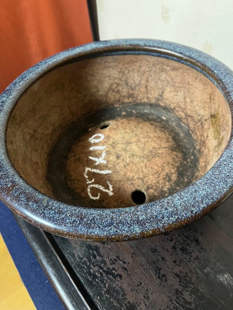 462 盆栽　盆栽鉢　植木鉢　中国鉢　海鼠　ナマコ