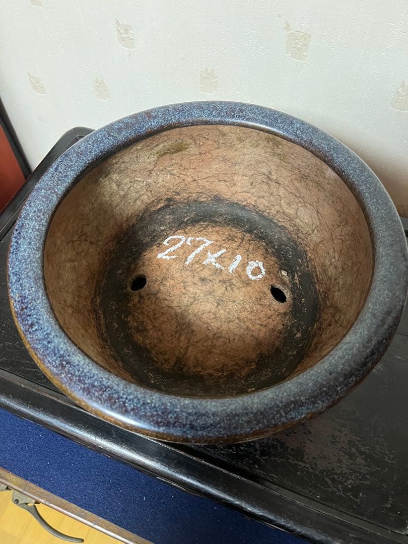 462 盆栽　盆栽鉢　植木鉢　中国鉢　海鼠　ナマコ