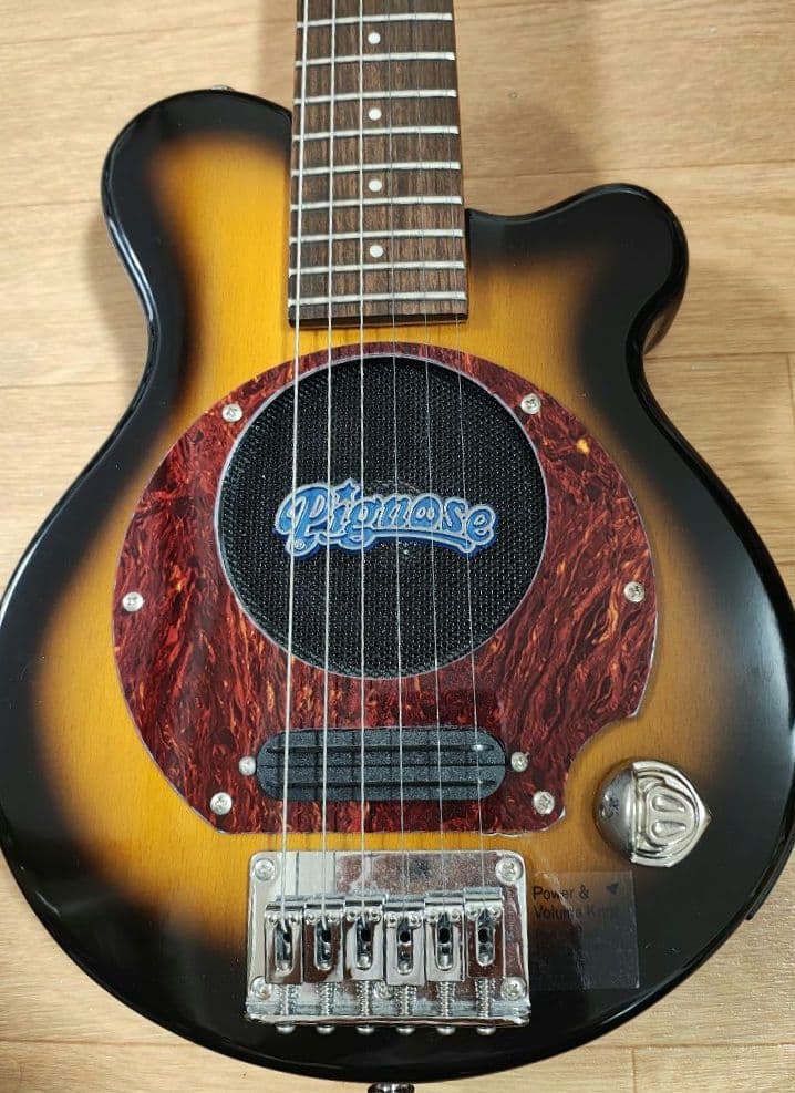 Pignose ピグノーズ PGG-100 アンプ内蔵ギター