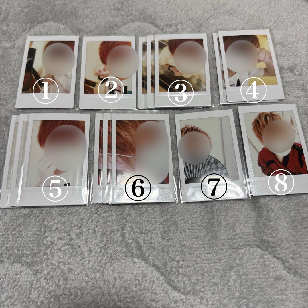 KnightA 騎士A KnightX 騎士X ばぁうくん チェキ④