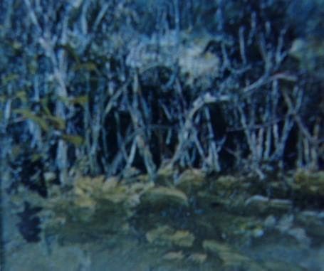 向井 潤吉、100、額装画集画、新品高級額、日本の風景、ふるさと