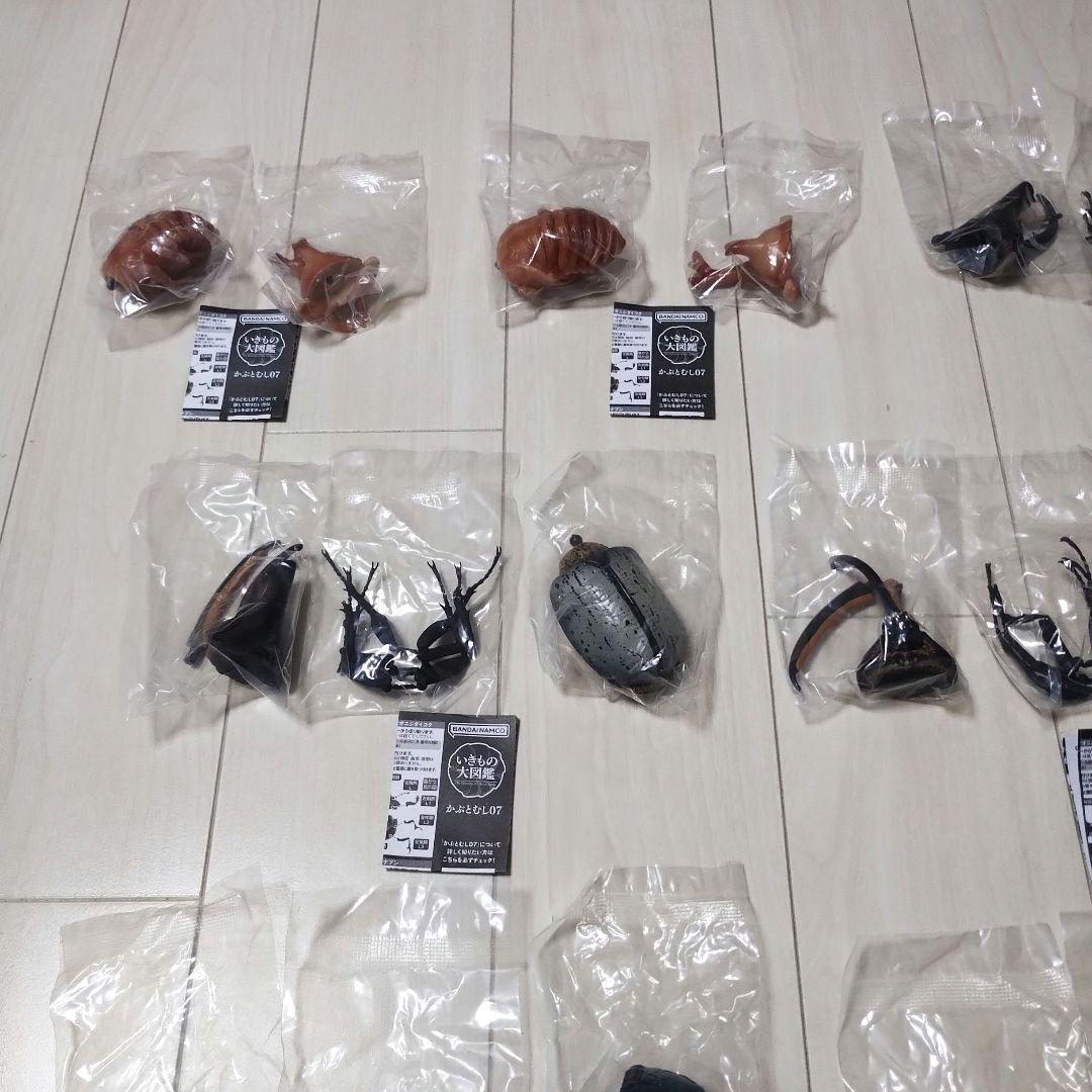 いきもの大図鑑　かぶとむし07　10個セット