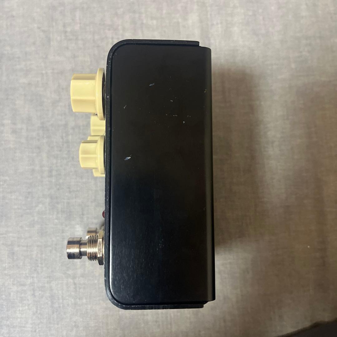 Strymon FLINT トレモロリバーブ