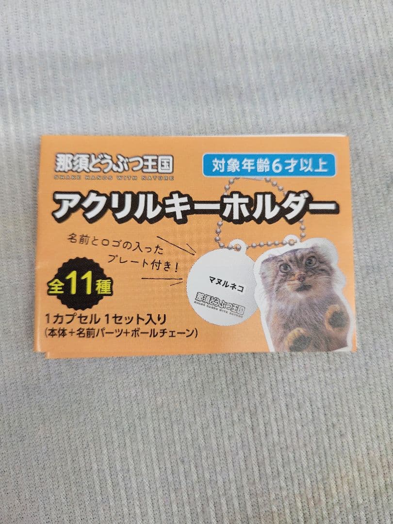 マヌルネコアクリルキーホルダー ポリー
