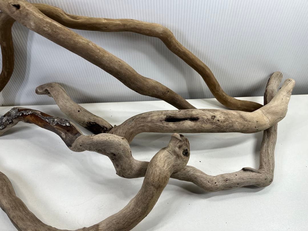 F5アク抜き済み流木セット 爬虫類シェルター 登り木 インテリア 生け花