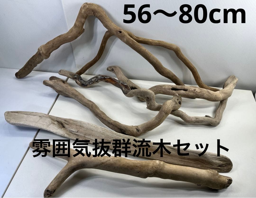 F5アク抜き済み流木セット 爬虫類シェルター 登り木 インテリア 生け花