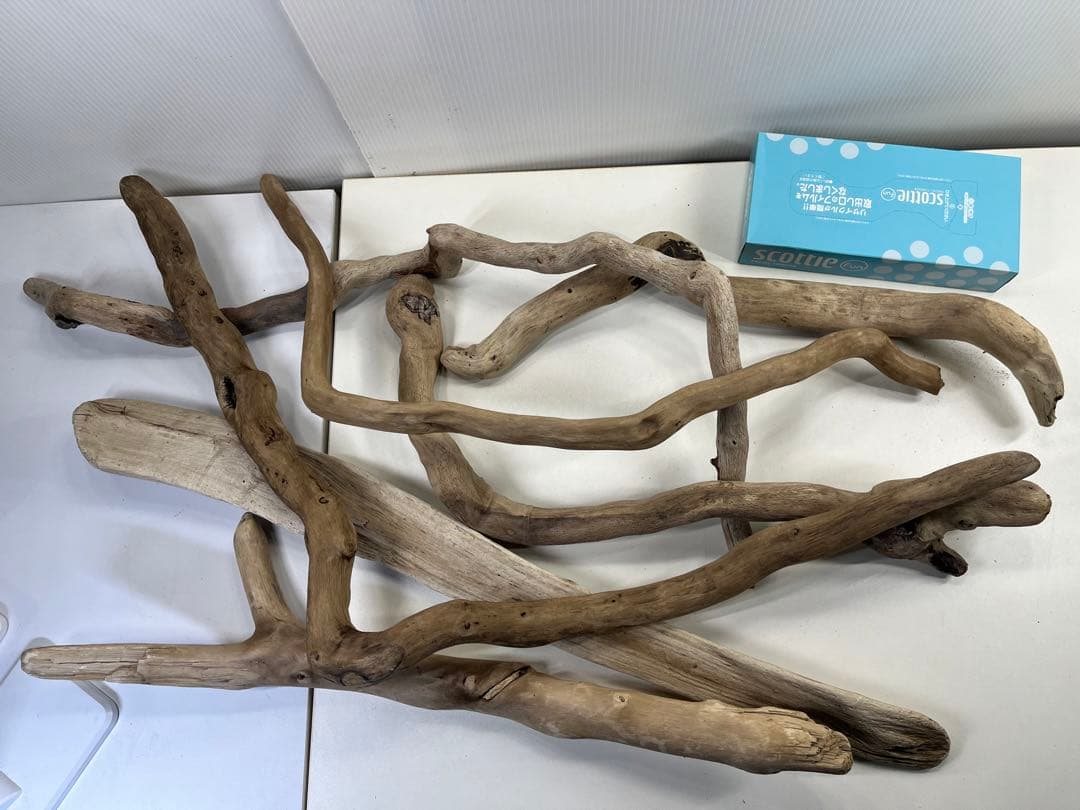 F5アク抜き済み流木セット 爬虫類シェルター 登り木 インテリア 生け花