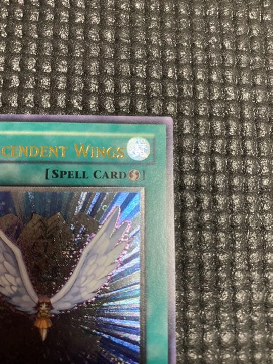 遊戯王　進化する翼　旧アジア版　レリーフ