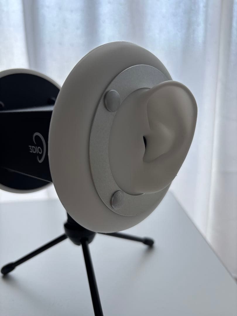 3DIO FS マイク ハードケース付き