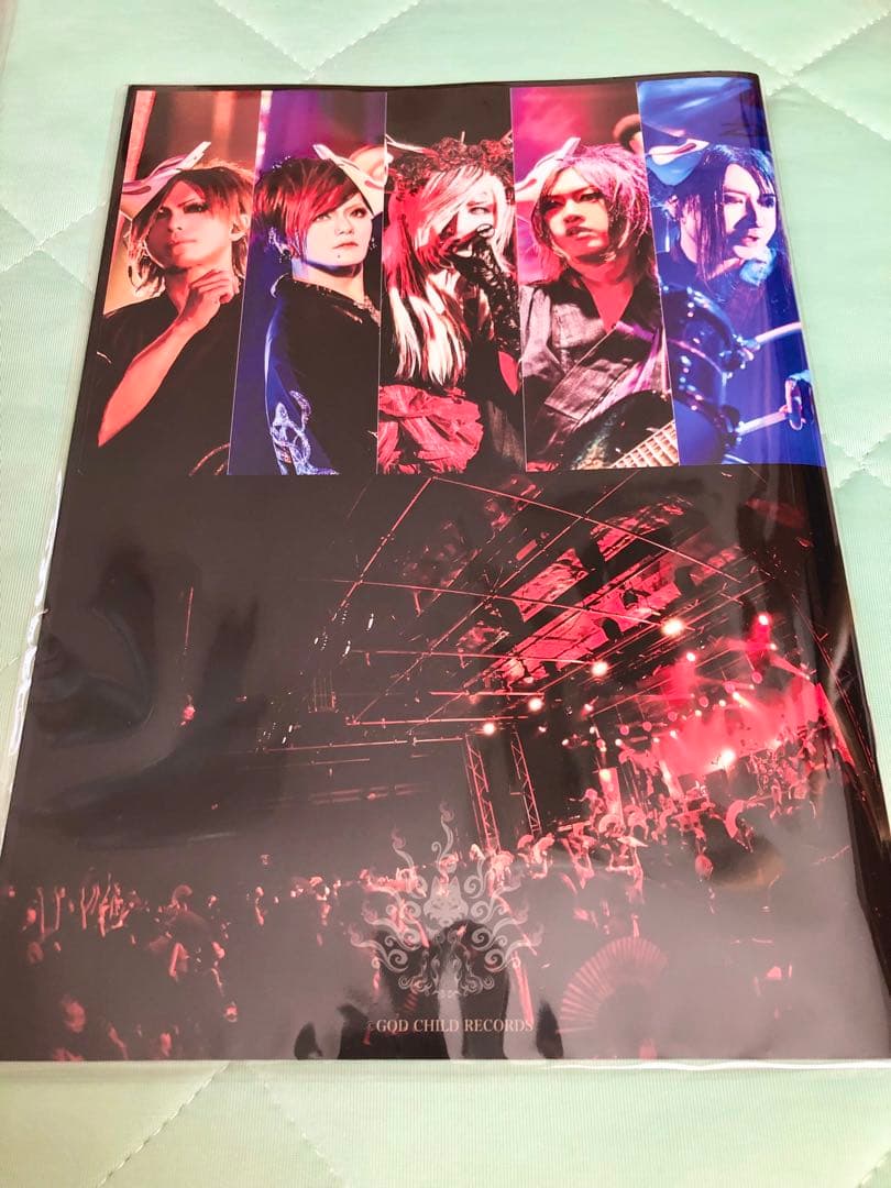 浅葱ソロ 写真集 パンフレット メイキングブック D ASAGI チェキ