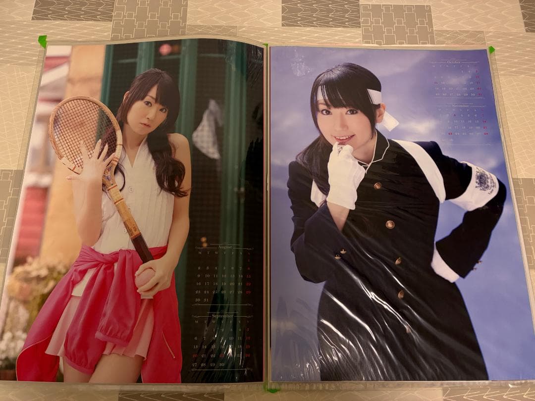 B2ポスターギャラリー（封入シート10枚）+水樹奈々ポスター多数