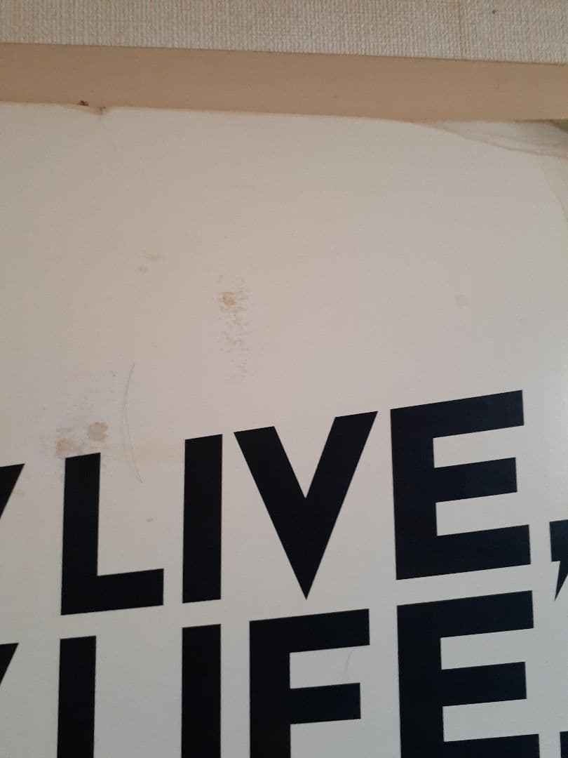 激レア!! 矢沢永吉 DAM 等身大パネル