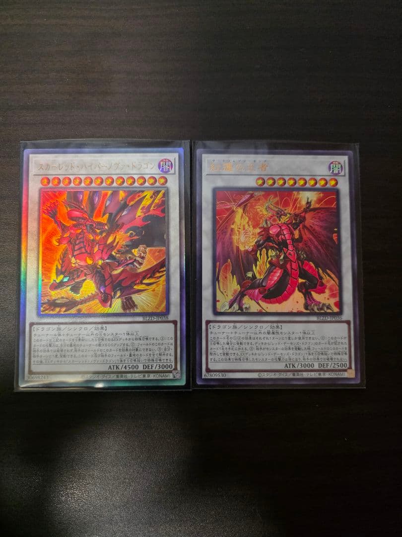 遊戯王 紅蓮の王者 スカーレッドハイパーノヴァドラゴン - メルカリ