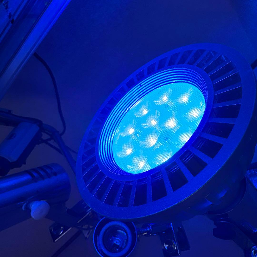 Grassy LeDioRX122c.DP 交換球