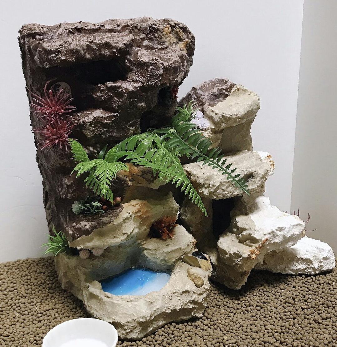 爬虫類バックボード 安い シェルター ヒョウモントカゲモドキ