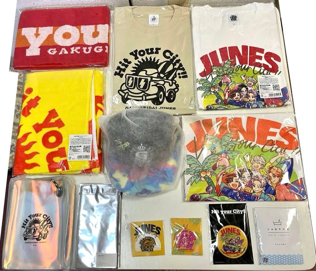 学芸大青春】グッズ まとめ売り