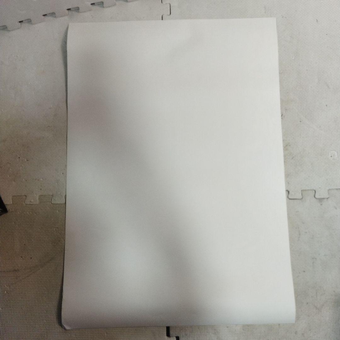 資生堂　エレン・マリー・ミモリ　ポスター　約73×51.5センチ