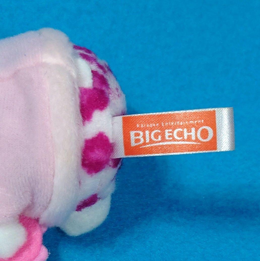 超激レア非売品☆BIG ECHO☆ピンクヒョウ柄・音符キティマスコット☆2002