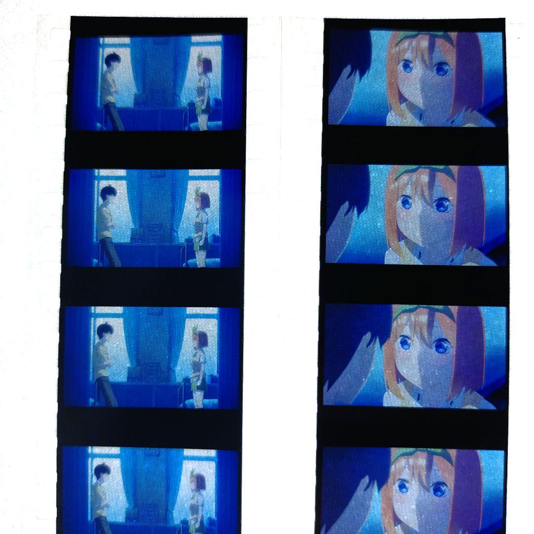 最終値下げ　貴重な五等分の花嫁 フィルム