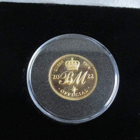 Queen クイーン Brian May ゴールド  ギターピック