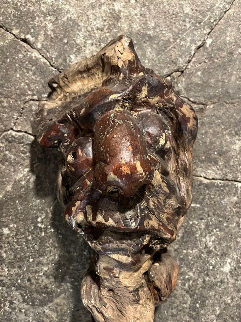 骨董　瘤杢　作者年代不明 価格応相談