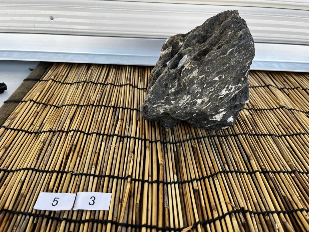 佐治石〈17〉【Taiyoメダカ】