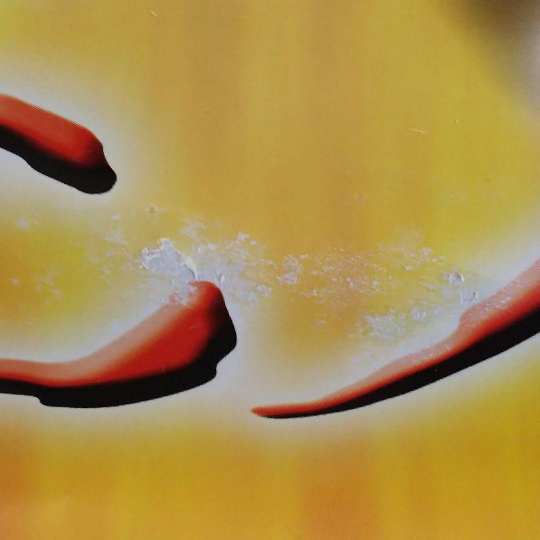 忍風戦隊ハリケンジャー」B2サイズポスター④（非売品・新品