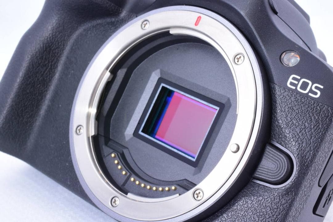 ❄ワイヤレス転送❄】Canon キヤノン EOS R100 ボディ APS-C