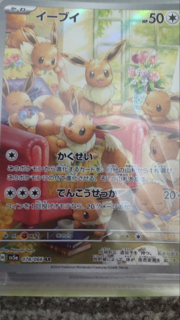 ポケモンカードセット ピカチュウ・ヒンバス・イーブイ