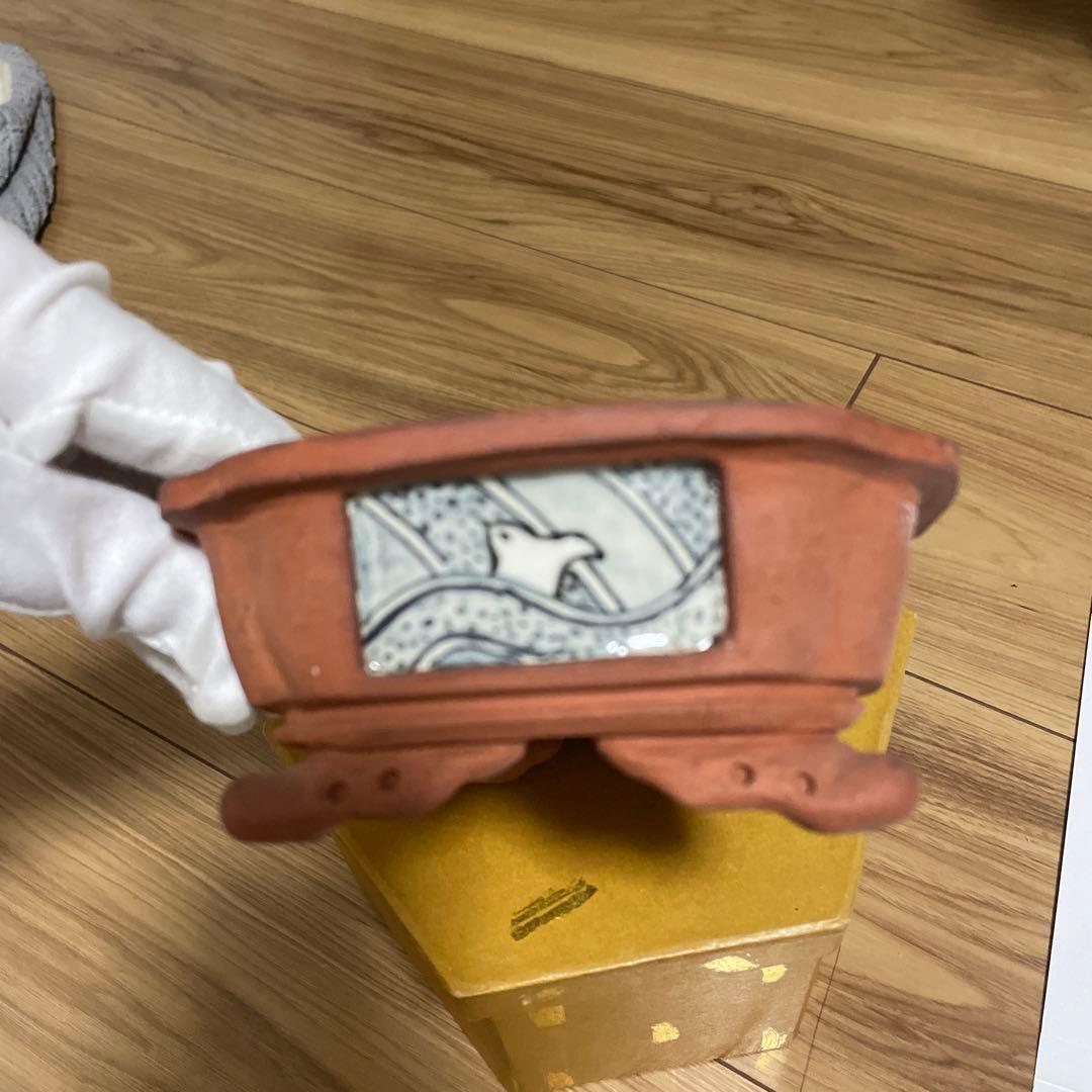 盆栽鉢 桑津香石 山野草