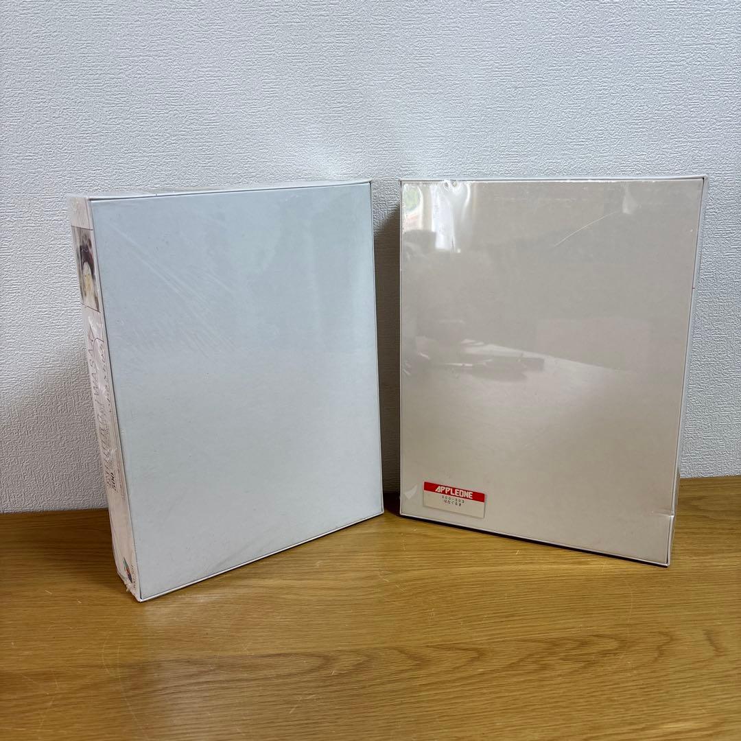 未使用いわさきちひろ ジグソーパズル500ピース はなぐるまバラ飾りの