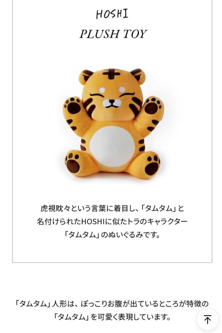 SEVENTEEN セブチ ホシ 호시 アーティストメイド ぬいぐるみトレカ付き