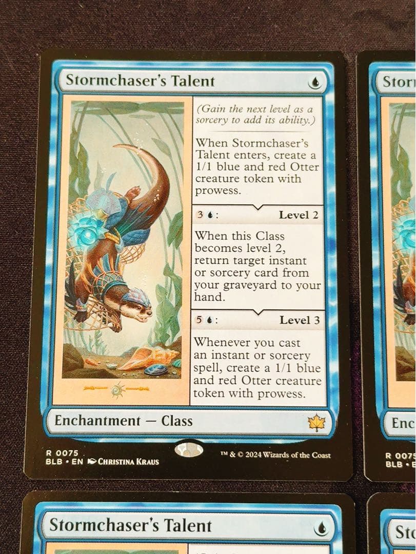 嵐追いの才能　英語　4枚セット