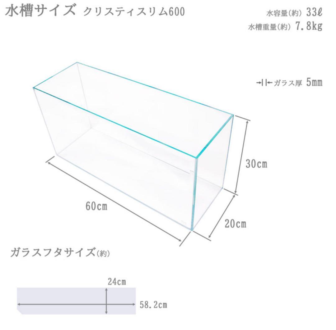 CrystySlim 600水槽 60cmクリスティスリム600 魚用品・水草