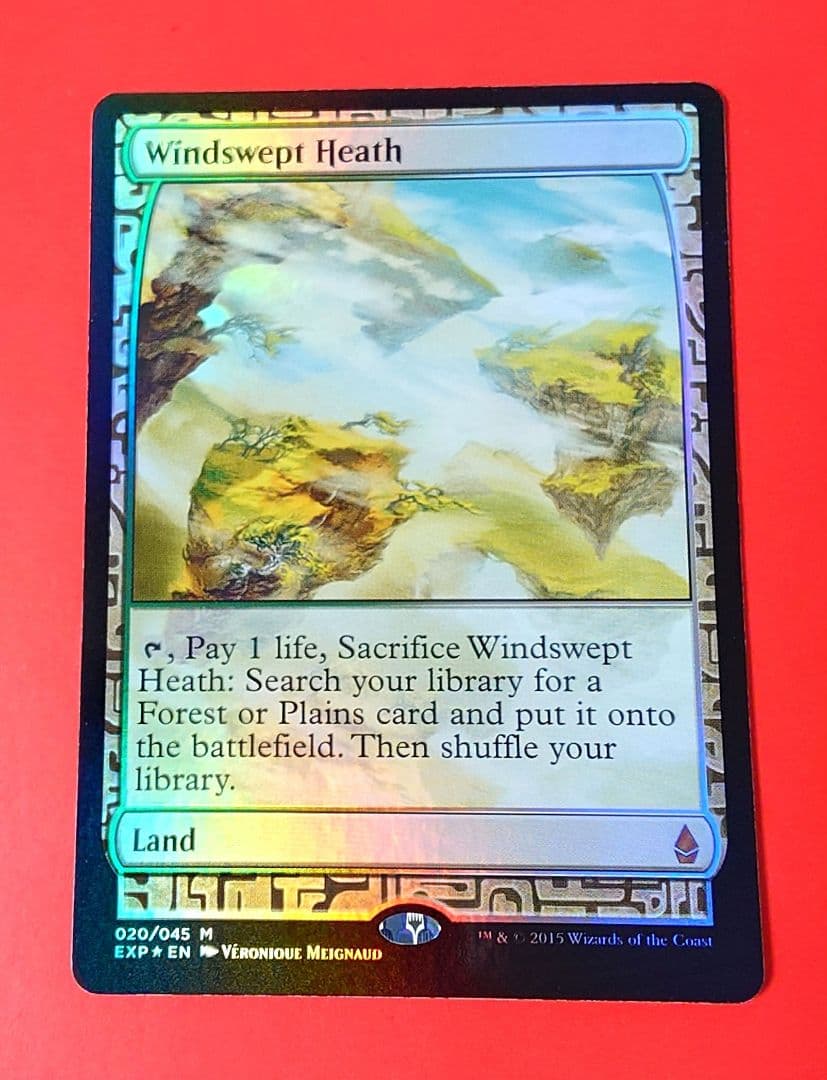 MTG 吹きさらしの荒野 Foil フォイル 英語版 MTG 吹きさらしの荒野 Foil フォイル 英語版 MTG 吹きさらしの荒野