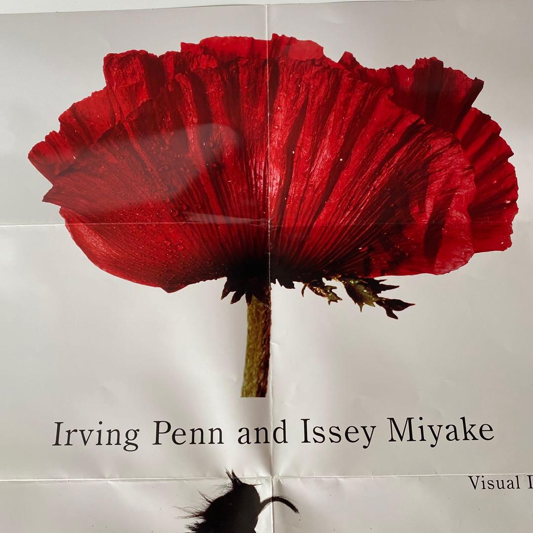 希少 Issey Miyake Irving Penn ポスター 田中一光