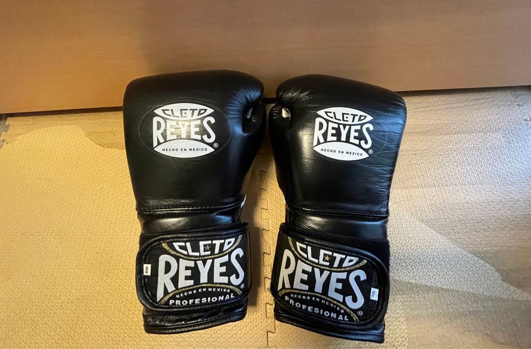 レイジェス14オンス グローブ レイジェス 14オンスグローブ レイジェス