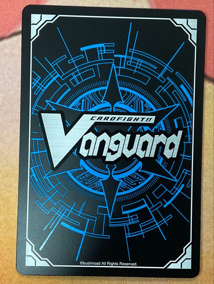 スノウスキップ　パルヴィ　TGR+