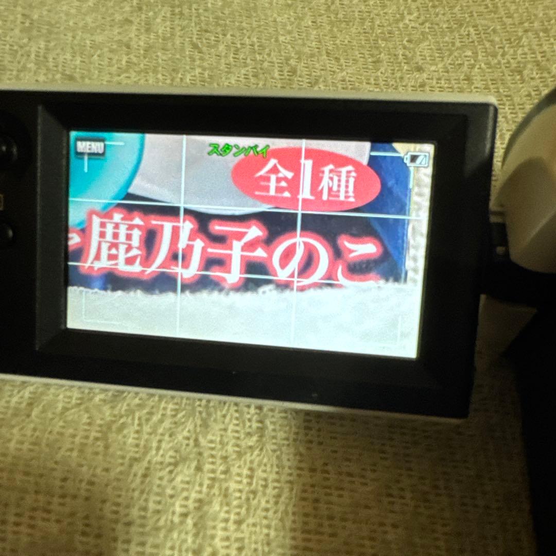 ゆ*離様 Sony HDR-CX470 ビデオカメラ 本体 21年製