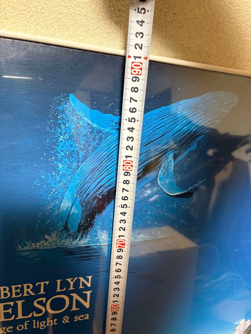 ロバート・リン・ネルソンmirage of light & see ポスター