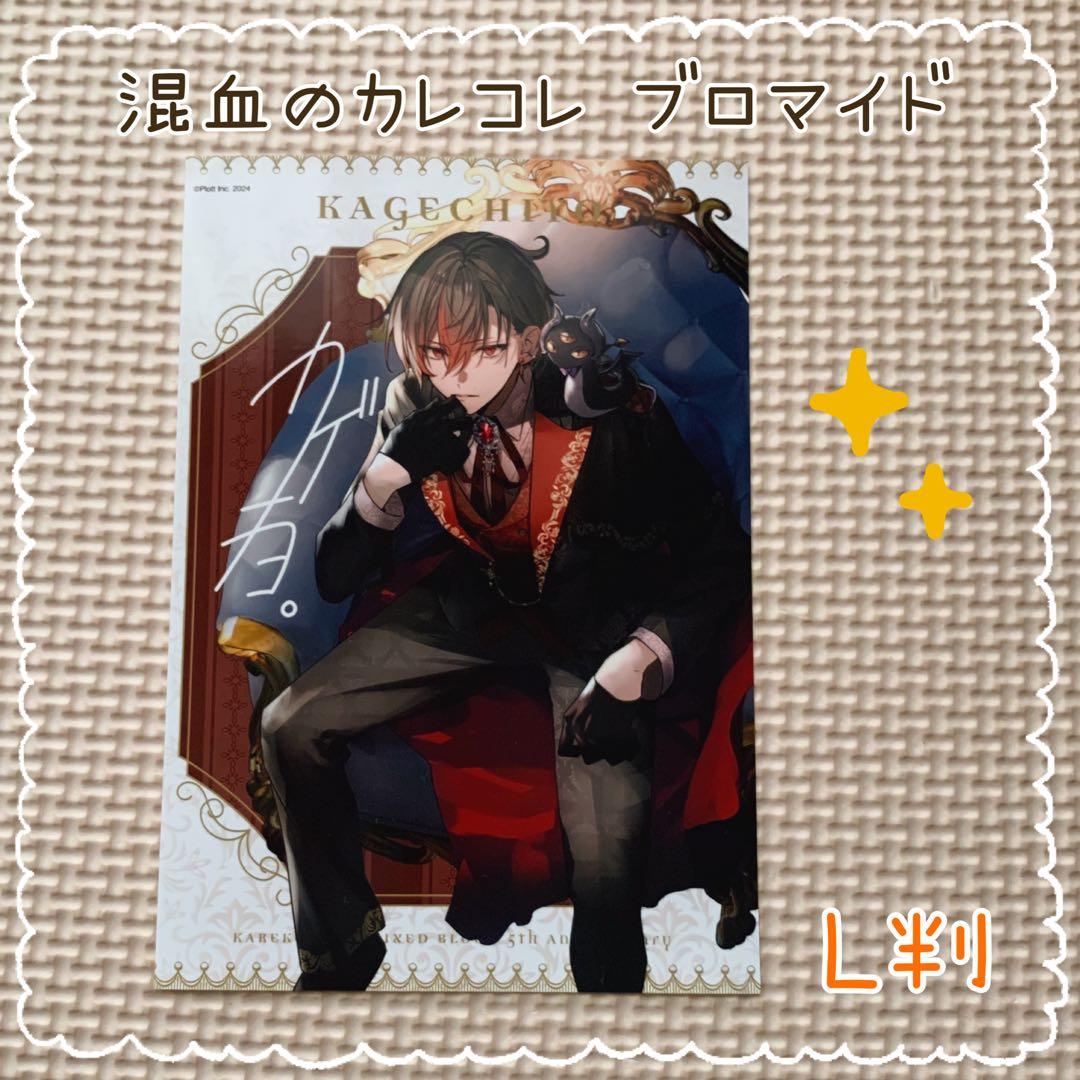 混血のカレコレ ランダムブロマイド◎5周年ソロ カゲチヨ◎ローソン