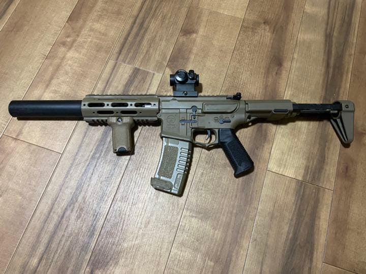 外国産蝶標本‼️美麗翔ぶジャングルの宝石 アグリアス2種類セット